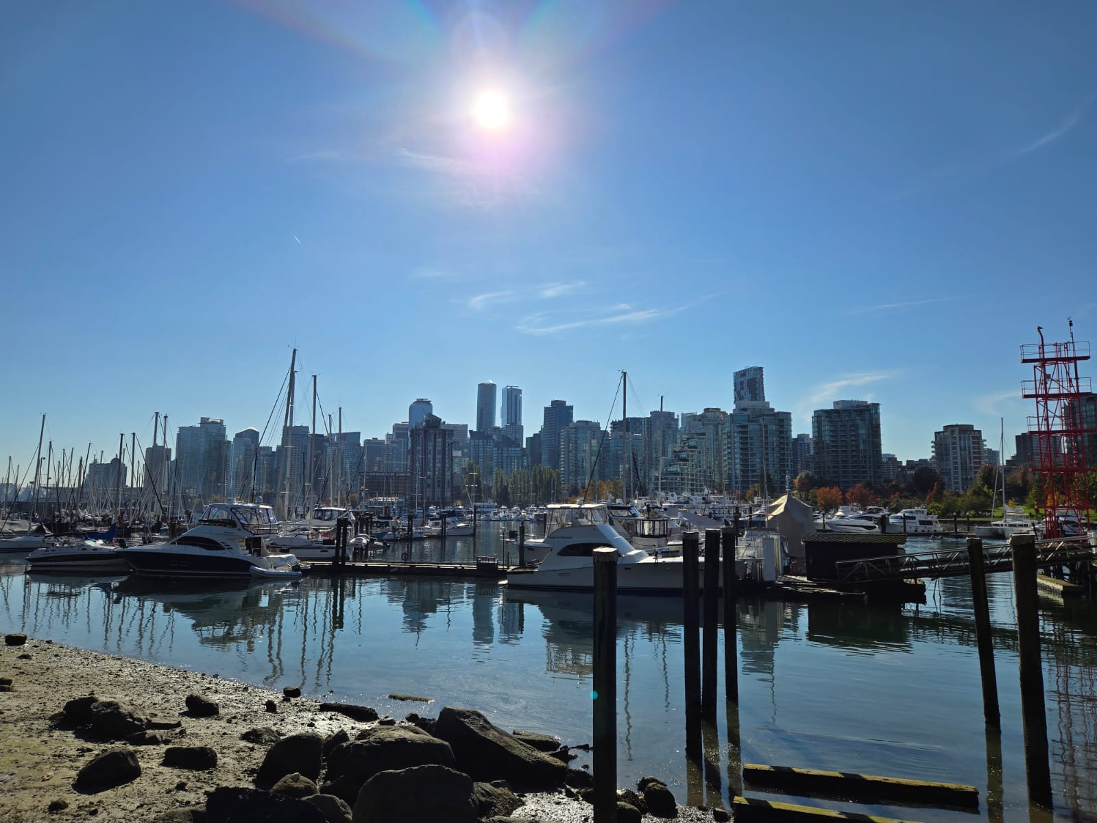 A city skyline taken by a marina. with multiple boats in.